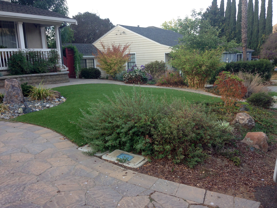 Artificial Grass North Las Vegas Nevada Landscape