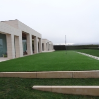 Artificial Grass Cal-Nev-Ari Nevada Lawn