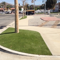 Artificial Grass Goodsprings Nevada Landscape