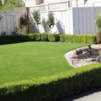 Artificial Grass Moapa Valley Nevada Lawn