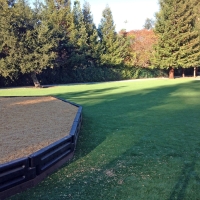 Artificial Grass Mount Charleston Nevada Childcare Facilities