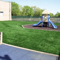 Artificial Grass Mount Charleston Nevada School