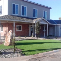 Artificial Grass Nelson Nevada Landscape