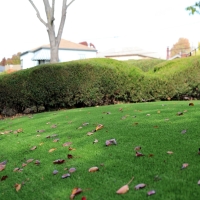 Artificial Grass North Las Vegas Nevada Landscape
