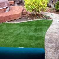 Artificial Grass Spring Valley Nevada Landscape
