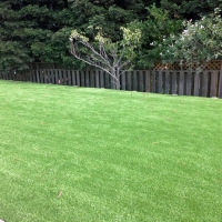 Artificial Grass Winchester Nevada Lawn