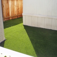 Artificial Pet Grass Spring Valley Nevada for Dogs