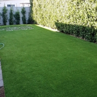 Artificial Pet Turf Summerlin South Nevada for Dogs