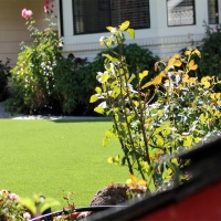 Artificial Turf Henderson Nevada Landscape