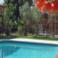 Artificial Turf Henderson Nevada Lawn