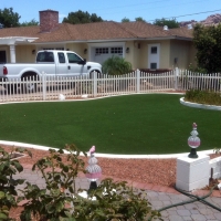 Artificial Turf Nelson Nevada Landscape