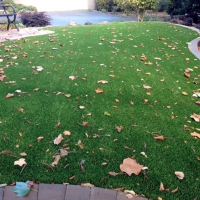 Artificial Turf Pahrump Nevada Lawn