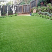 Artificial Turf Paradise Nevada Lawn