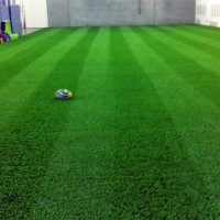 Artificial Turf Sports Cal-Nev-Ari Nevada