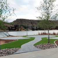 Artificial Turf Spring Valley Nevada Landscape