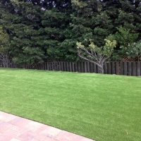 Artificial Turf Sunrise Manor Nevada Landscape