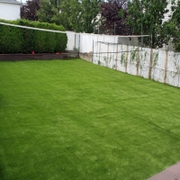 Artificial Turf Sunrise Manor Nevada Landscape