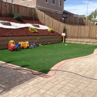 Fake Grass Dyer, Nevada Playground Safety, Backyard Designs