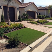 Fake Grass Indian Springs Nevada Landscape