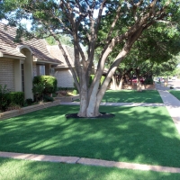 Fake Grass Moapa Town Nevada Lawn