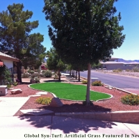 Fake Grass Nellis Air Force Base Nevada Landscape