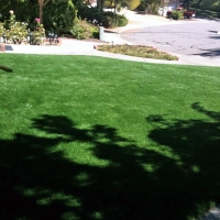 Fake Grass Sandy Valley Nevada Lawn