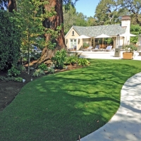 Fake Grass Winchester Nevada Landscape