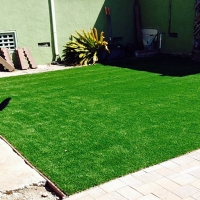 Fake Pet Turf Pahrump Nevada Installation