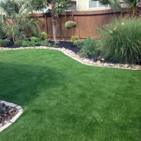 Fake Pet Turf Summerlin South Nevada for Dogs