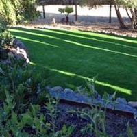 Fake Turf Goodsprings Nevada Lawn