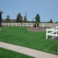 Fake Turf Indian Springs Nevada Lawn