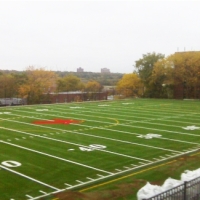 Sports Turf Choice of Professional Athletes: Stadiums