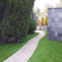 Synthetic Grass Goodsprings Nevada Landscape