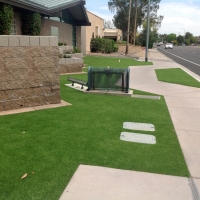 Synthetic Grass Indian Springs Nevada Landscape