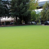 Synthetic Grass Nelson Nevada Landscape