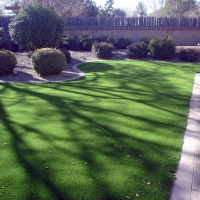 Synthetic Grass North Las Vegas Nevada Landscape