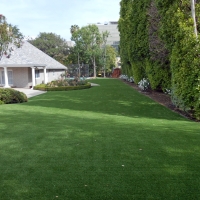 Synthetic Pet Grass Moapa Valley Nevada for Dogs