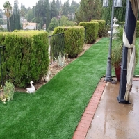 Synthetic Turf Cal-Nev-Ari Nevada Landscape