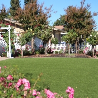 Synthetic Turf Henderson Nevada Lawn