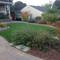 Synthetic Turf Indian Springs Nevada Landscape