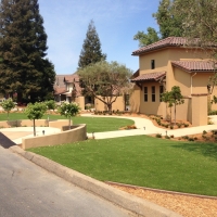 Synthetic Turf Moapa Town Nevada Lawn