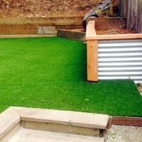 Synthetic Turf Moapa Town Nevada Lawn