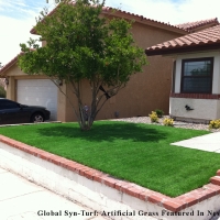 Synthetic Turf Mount Charleston Nevada Landscape