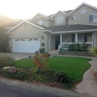 Synthetic Turf North Las Vegas Nevada Landscape