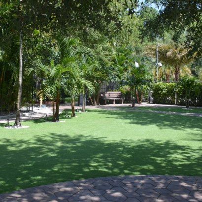 Artificial Grass Beatty, Nevada Rooftop, Commercial Landscape