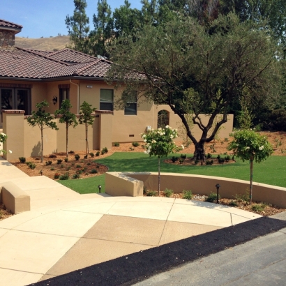 Artificial Grass Blue Diamond Nevada Landscape