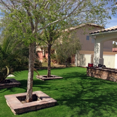 Artificial Grass Boulder City Nevada Landscape