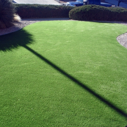 Artificial Grass Cal-Nev-Ari Nevada Landscape