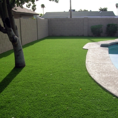Artificial Grass Cal-Nev-Ari Nevada Landscape