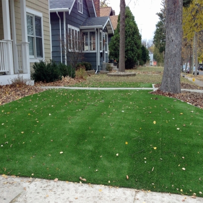 Artificial Grass Enterprise Nevada Landscape